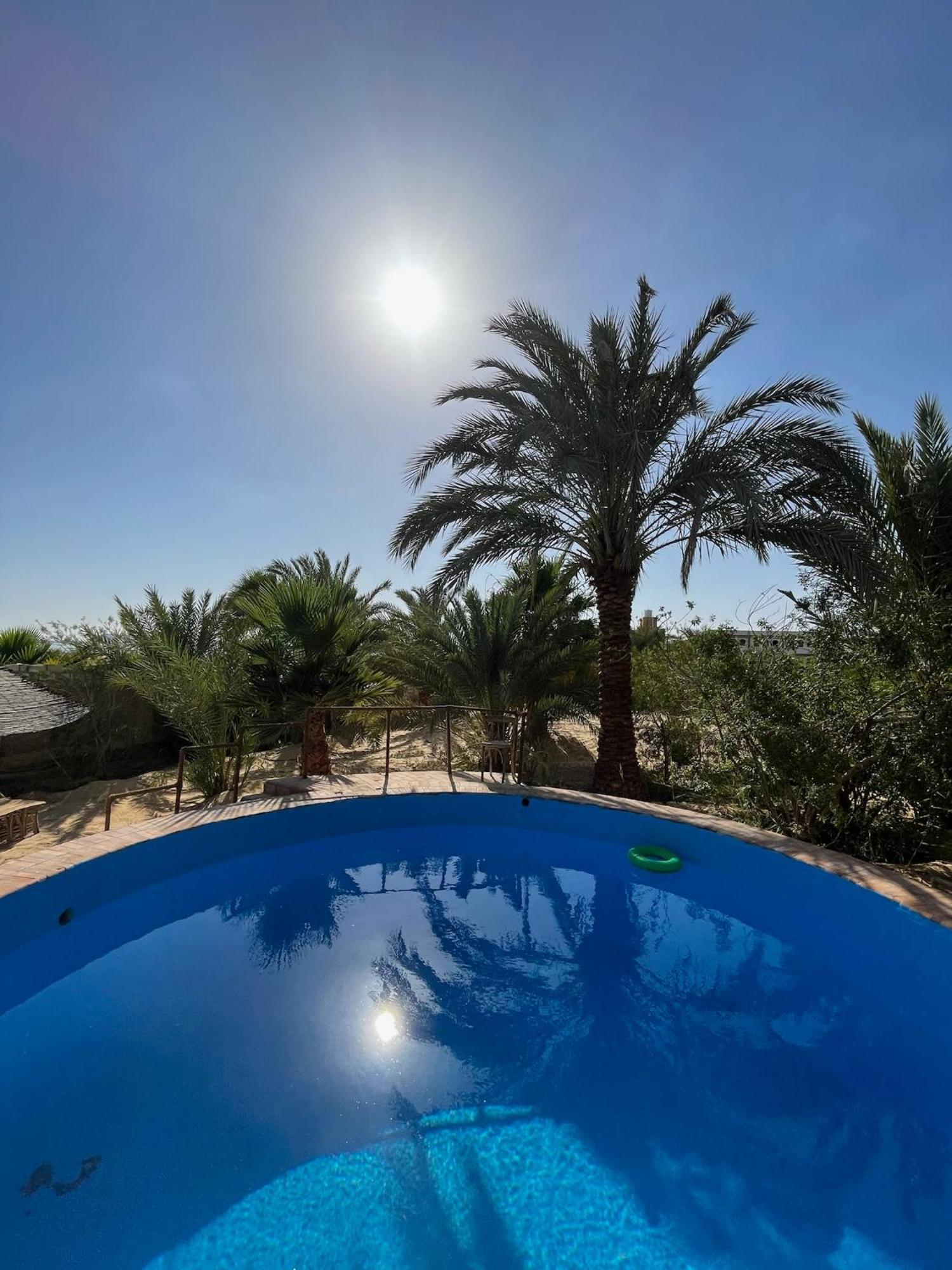 Hotel The Nest Siwa Oasis Exterior foto