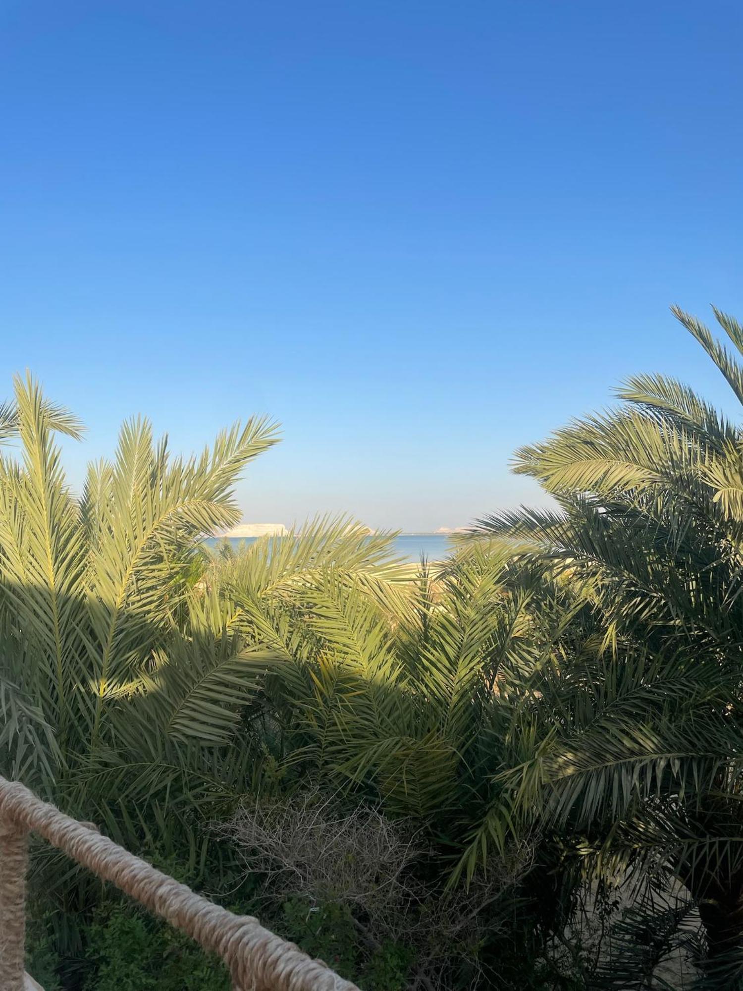 Hotel The Nest Siwa Oasis Exterior foto